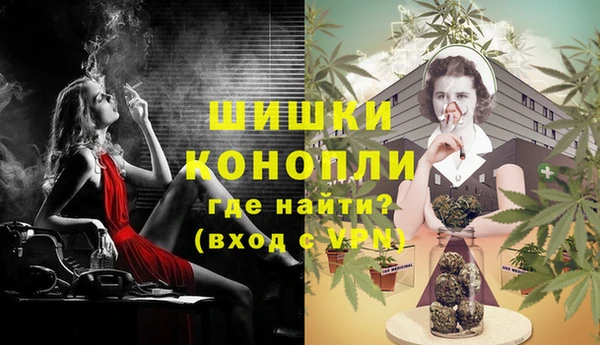 шишки Наволоки