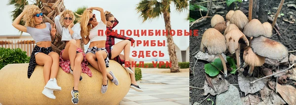 прущие крисы Алексин