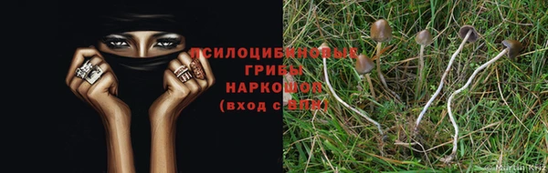шишки Наволоки